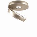 Champagne