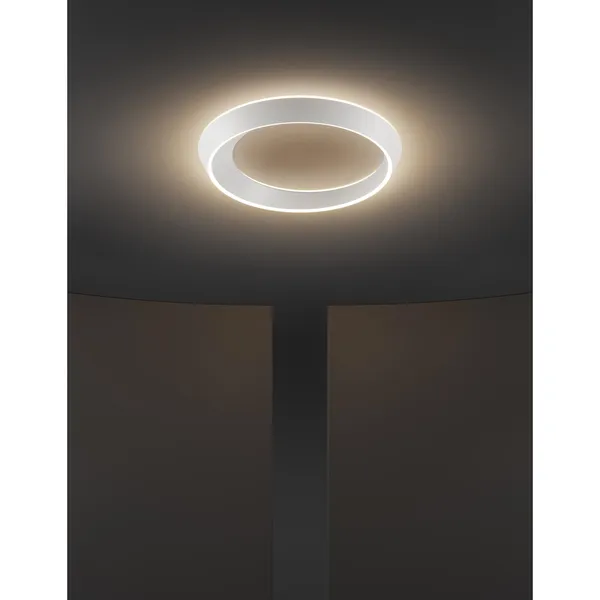 Tidal Ceiling Light 2700K Champagne