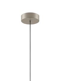 Single Mini Rosette Matt Champagne