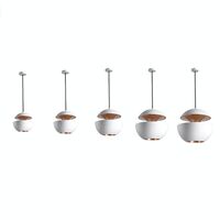 Hanglamp Wit/Koper 25 Cm
