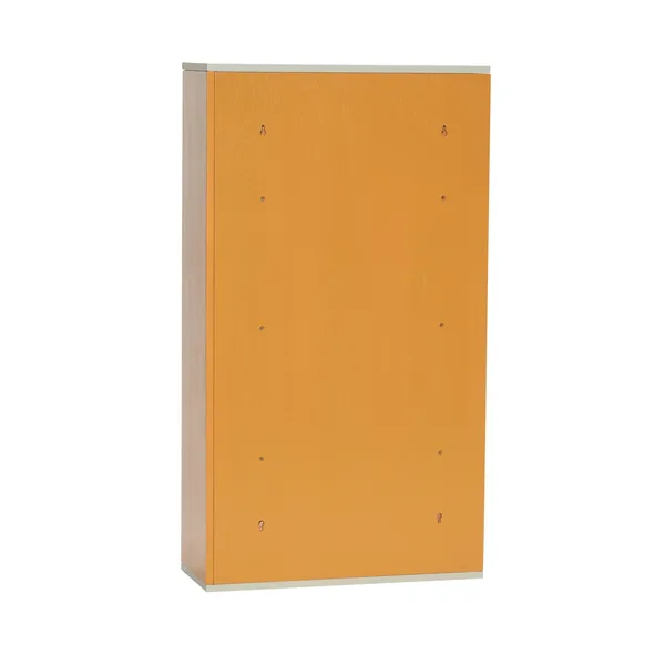 Libreria Apollo Multicolore