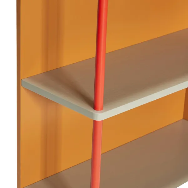 Libreria Apollo Multicolore