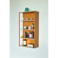 Libreria Apollo Multicolore