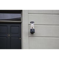The Muse Wall Lamp Hackles Black