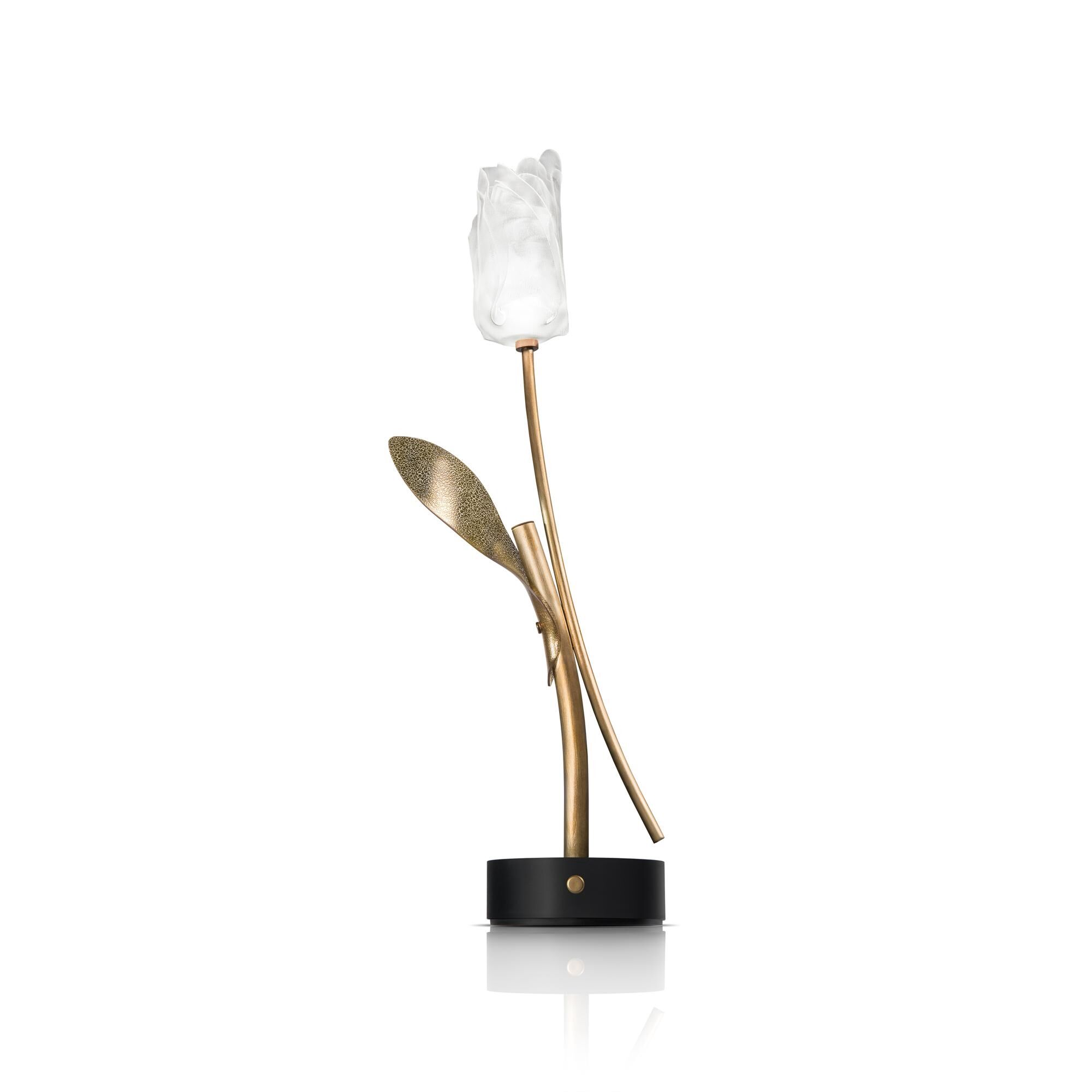 Tulip Bærbar Lampe Transparent/ Svart Base