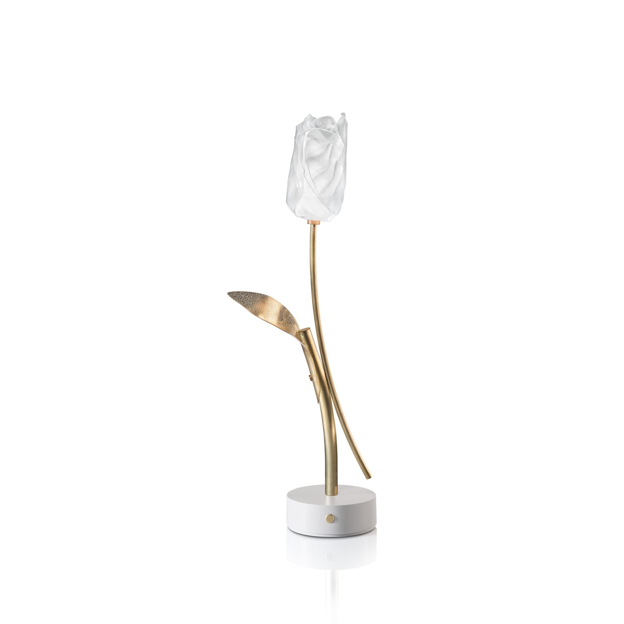 Tulip Bærbar Lampe Transparent/ Hvit Base