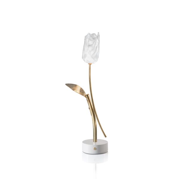 Tulip Lampe Portable Transparent/Base Blanc