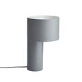 Cool gray Pantone 8C