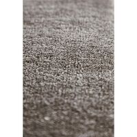 Tint Teppich 300x200 cm Beige