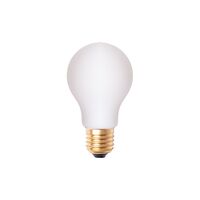 Classic Lamp E27 4,8W Mat Dimbaar