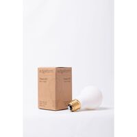 Classic Lamp E27 4,8W Mat Dimbaar