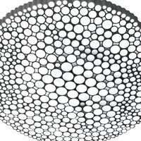 CALIPSO Wall/ Ceiling Light 3000K White APP