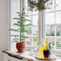 Skagerak Edge Pot Ø18 Terrakotta