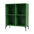 Green / Black