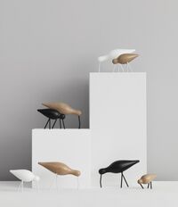 Shorebird Walnut Brass Large