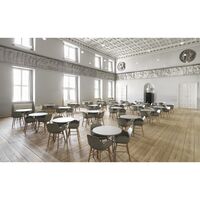 Form Dining Chair Light Gray/Steel