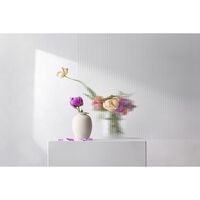 Brim Vase H28 Beige