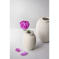 Brim Vase H28 Beige