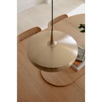 Clava Dine Pendel Med Rosette Børstet Messing/Sort