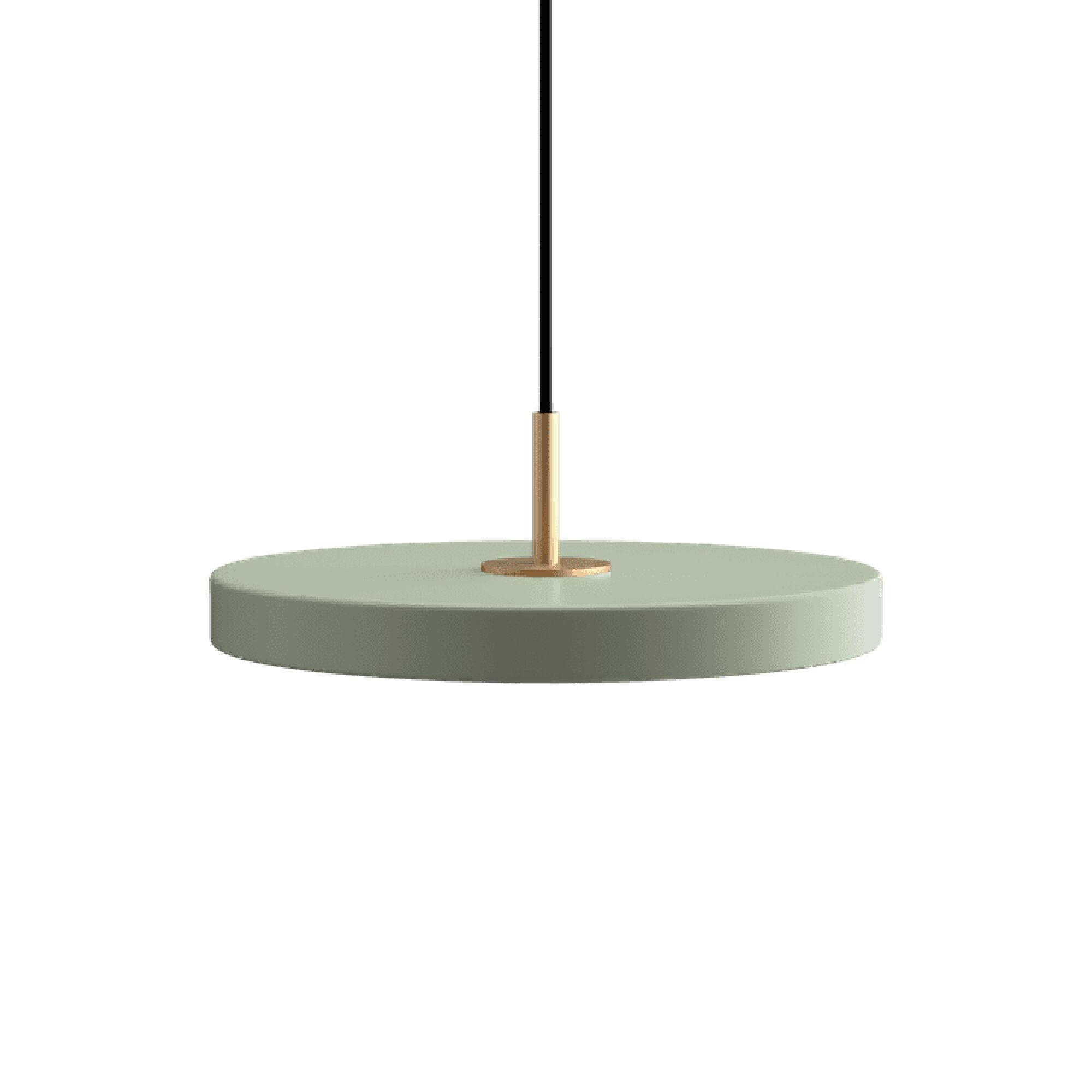Suspension Asteria Plus Mini Suspension Olive/ Laiton