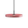 Rose / Svart