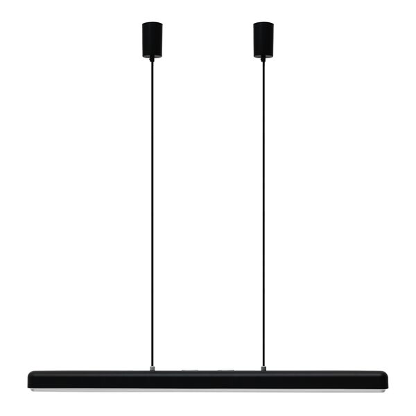 Hazel Branch Pendant 100 Black/Steel