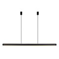 Black / Brass