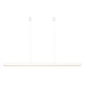 White / Brass