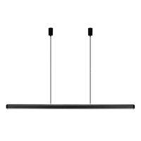 Hazel Branch Pendant 150 Black/Steel