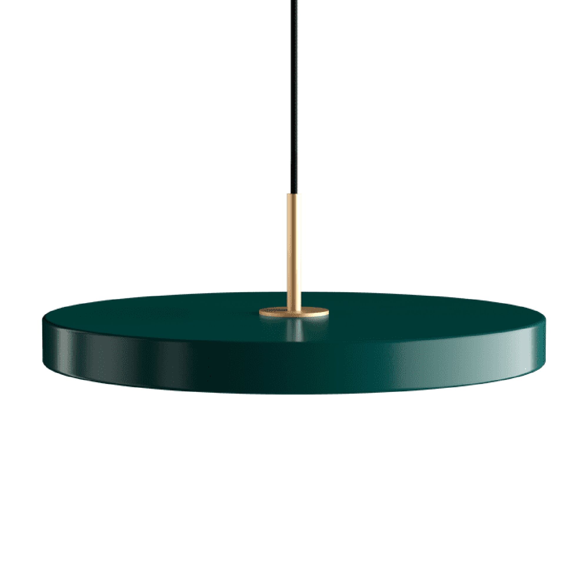 Suspension Asteria Plus Medium Suspension Forêt/ Laiton