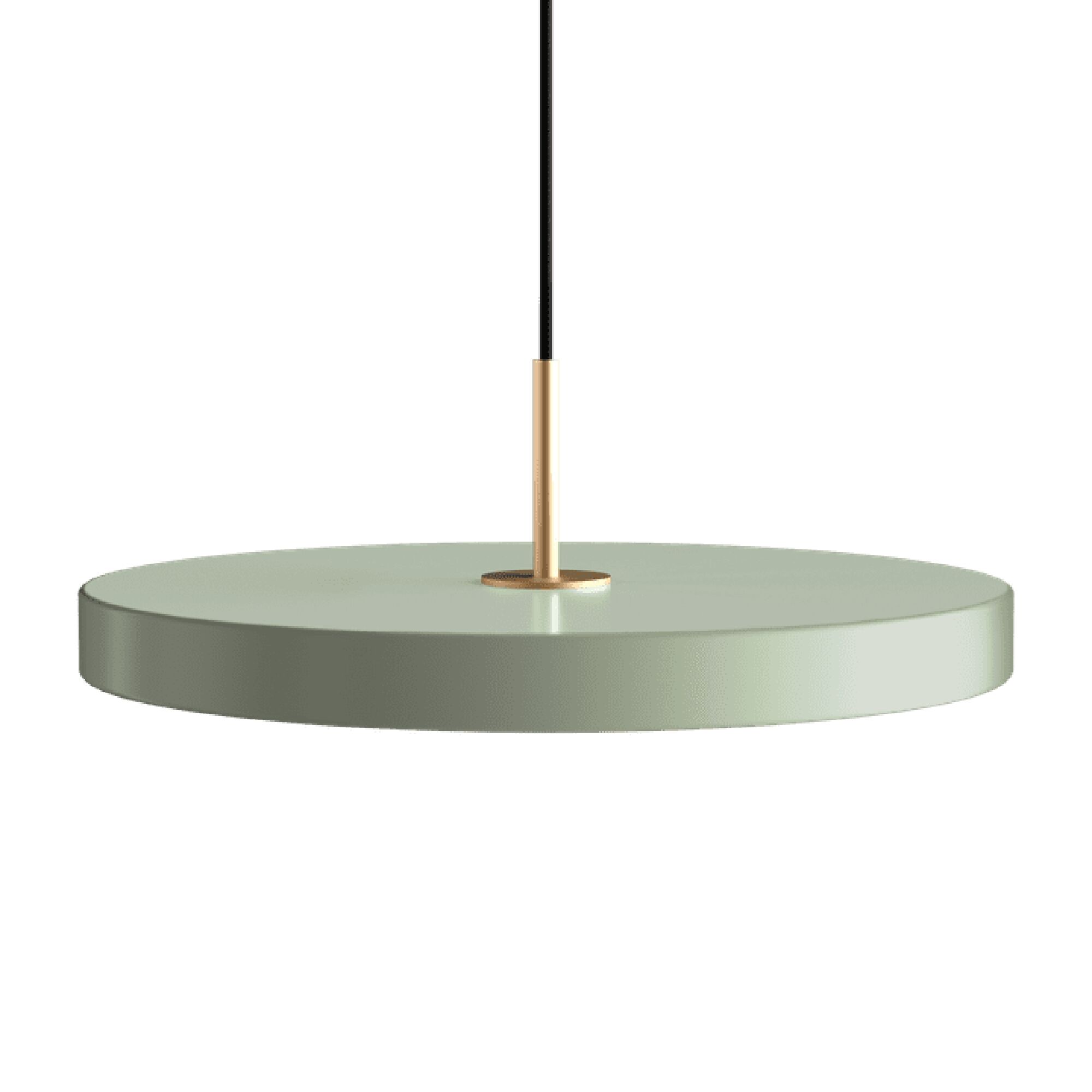 Asteria Plus Medium Taklampa Nyans Oliv/ M&auml;ssing