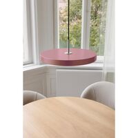 Asteria Plus Medium Pendant Nuance Rose/Steel