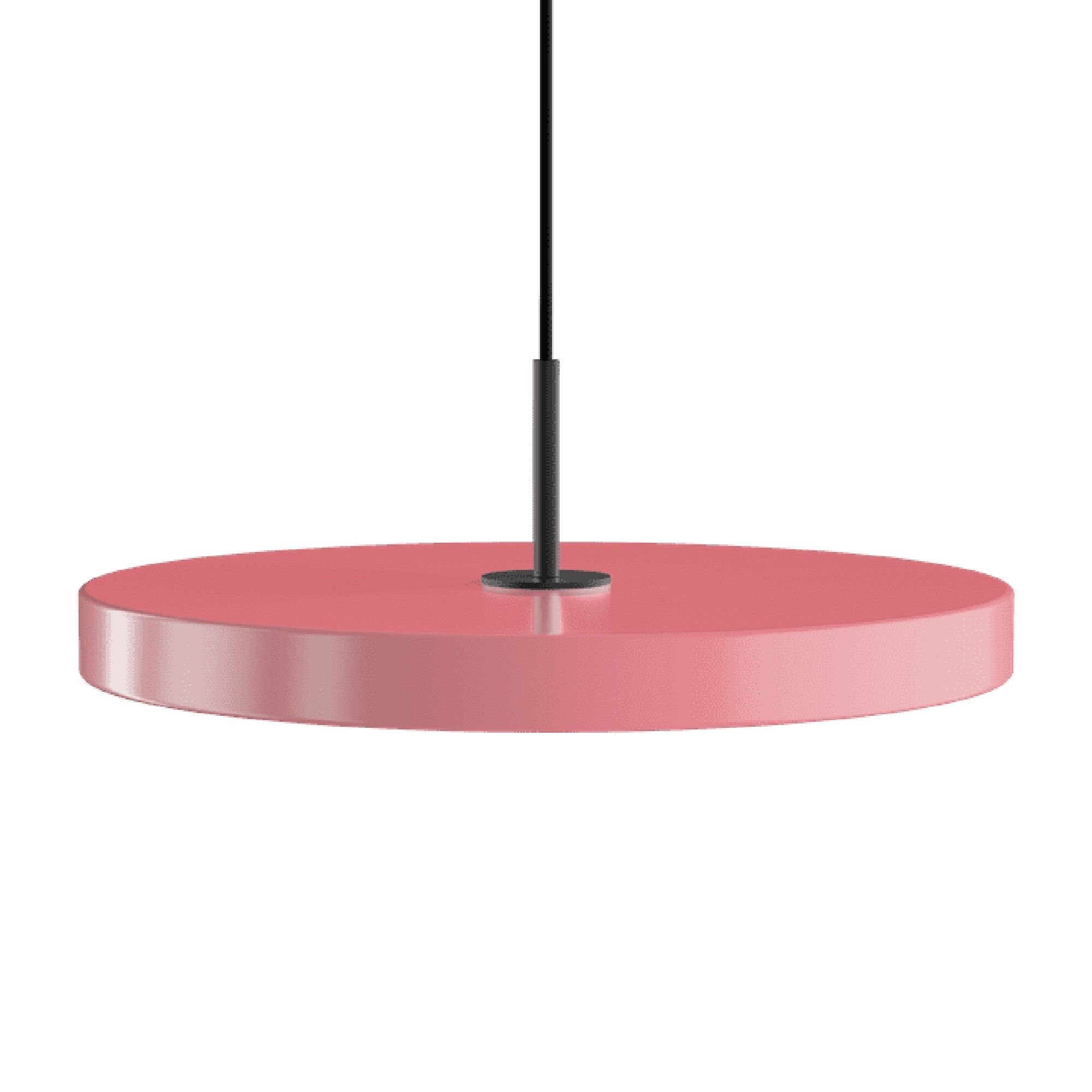 Asteria Plus Medium Taklampe Nuance Rose/ Sort