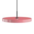 Rose / Svart