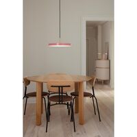 Curious Dining Chair Oak/ Brass Frame