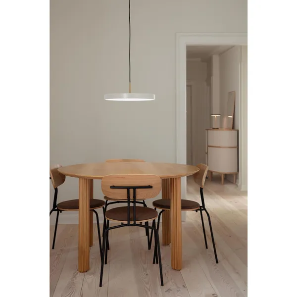 Curious Dining Chair Oak/Powder Coated Frame