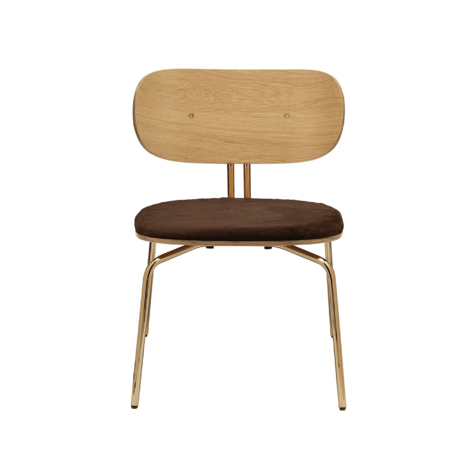 Curious Lnestol Teddy Brown/Messing