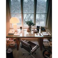 Soft Pad EA 217 Office Chair with Swivel, Armrest and Tilt Mechanism