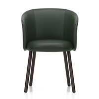 Mikado Dining Chair With Armrest Jade