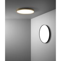 Compendium Plate Wall/ Ceiling Light Aluminum