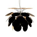 Schwarz / Gold