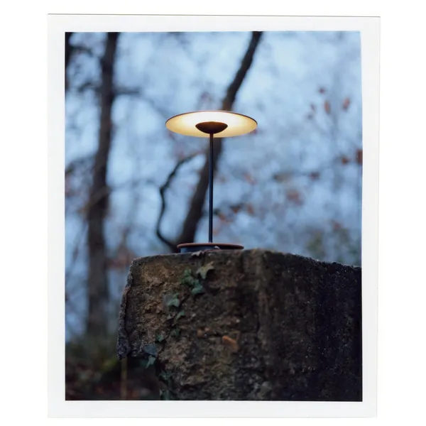 Ginger S Table Lamp Large Wenge