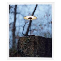 Ginger S Table Lamp Large Wenge