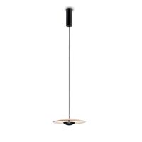 Ginger 20 Hanglamp Eiken & Wit