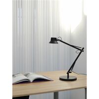 Dedicate S1 Table Lamp Brown Green