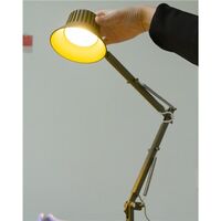 Dedicate L2 Table Lamp Brown Green