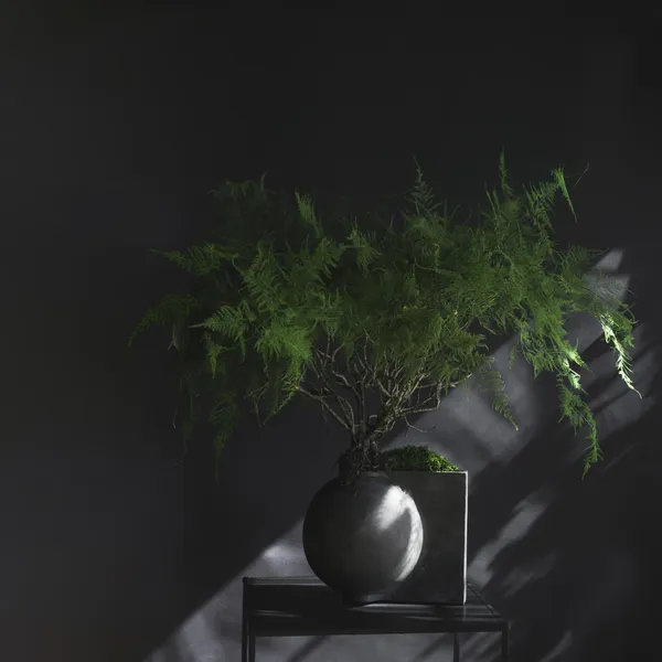 Offset Vase Mini Dark Grey