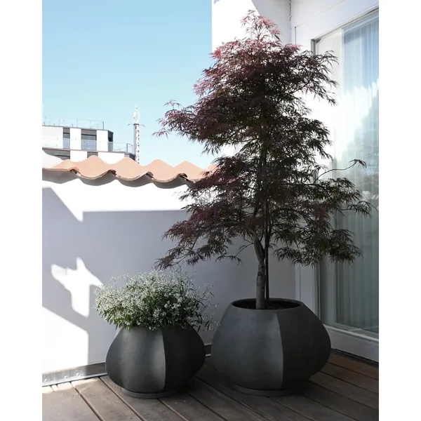 Sheet Plant Pot Medium Dark Grey