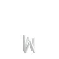 Wit