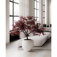 Sunao Vase Ruche Moyenne